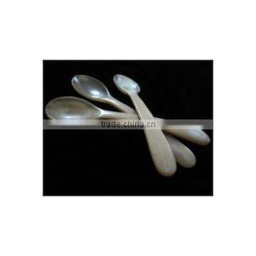 Buffalo Horn Products 2