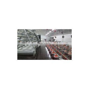 steel structure prefab chicken farm feed building poultry farm shed houses