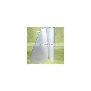 Back print PET film
