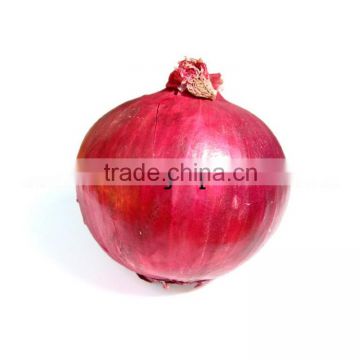 red big onion for sales