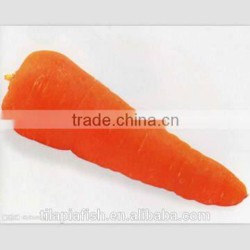 carrot seeds, fresh carrot manufacture