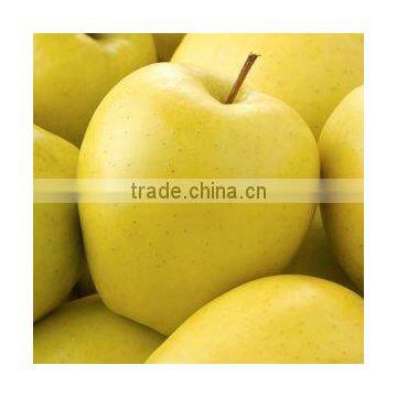 Supply Golden Apple