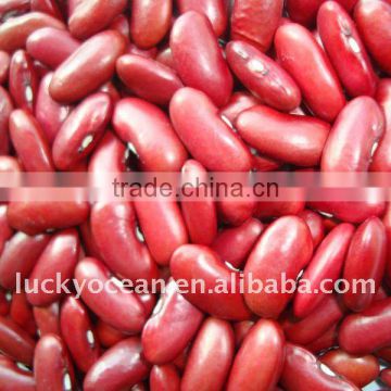 2015 DARK RED KIDNEY BEANS