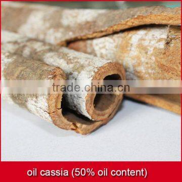 oil cassia (50% oil content)