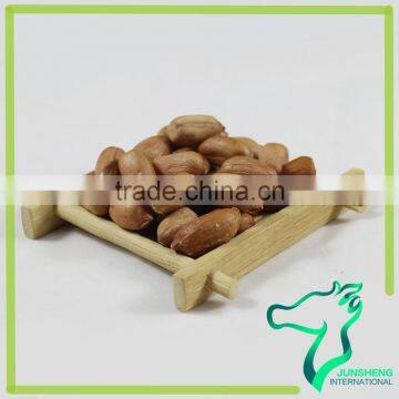 Peanuts Kernel From Factocty With Good Price