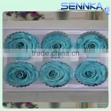 Factory Export High Quality Fresh Preserved Rose Flower From China photo-3