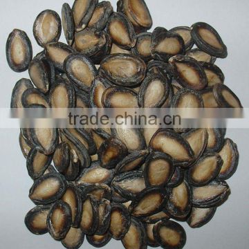 Chinese black watermelon seeds for worldwide importers