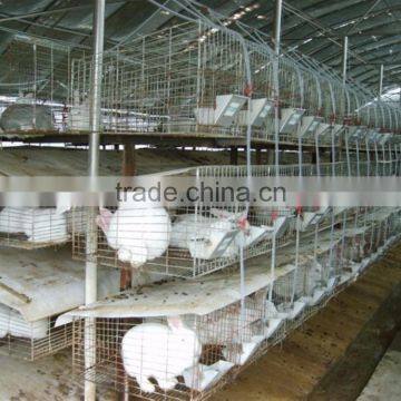 Factory Direct Sale on 2m 3 Tier Cage Used for Rabbit