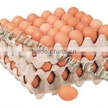 Taiyu-30 eggs high quality recycled waterproof pulp paper(in stock) egg tray