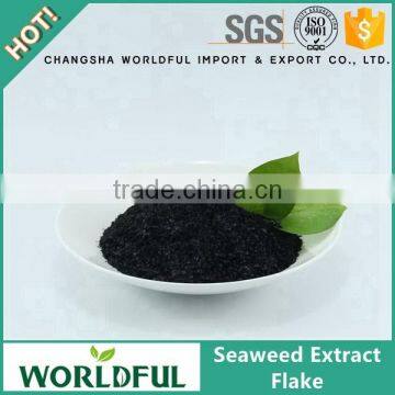 Competitive price organic seaweed extract flake with free sample