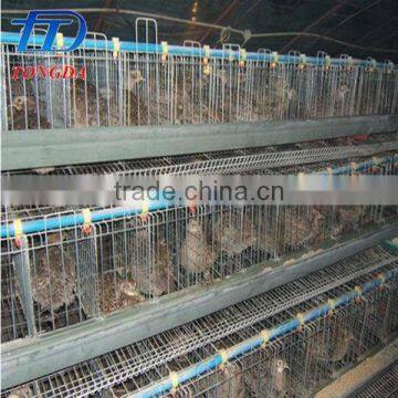New Design Bird Trap Cage With Great Price
