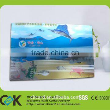Copetitive Price !Printing Irregulare Shape Big 3d Pvc Cards photo-6