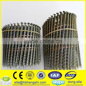 High Quality Coil Nail/Pallet Coil Nail photo-6