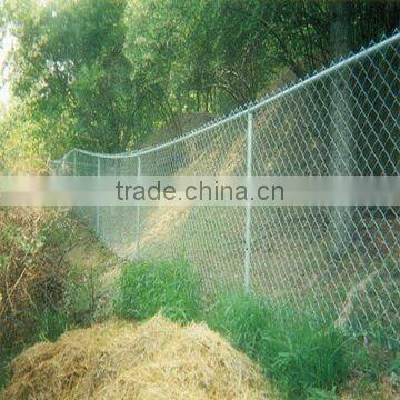 PVC Chain Link Fence(SO9001)