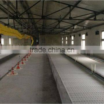 Chickens Plastic Flooringpoultry Plastic Slat Floor photo-5