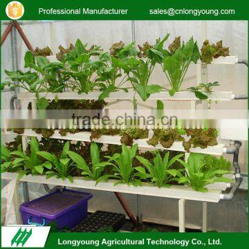 Fashion professional greenhouse commercial hydroponic systems