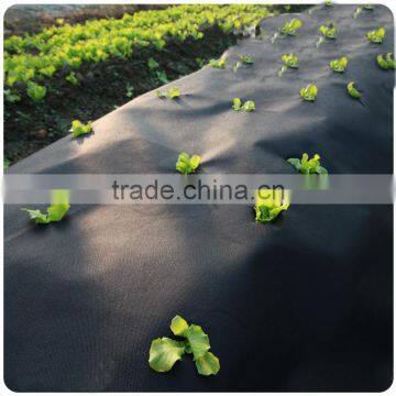 3% UV Resistant Agriculture Nonwoven Fabric photo-2