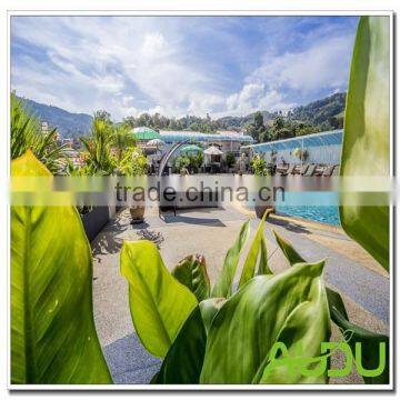 Audu Thailand Sunny Hotel Project Beach Swimming Pool Chair