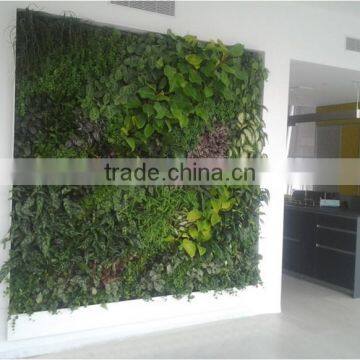 SJ0409015 Office Decoration Removable Green Plant Wall System photo-4