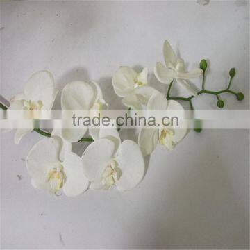 SJ20170048 China wholesale factory price silk dance orchid for indoor decoration cheap silk dance orchid