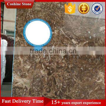Coffee Brown Marble Pattern Floor Design photo-6