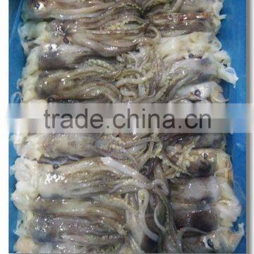 Fresh Frozen Illex Argetninus Squid Tentacles photo-3