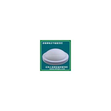 PIR sensor led ceiling light