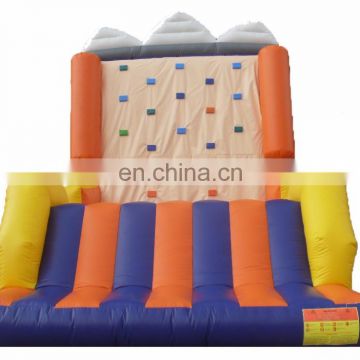 Giant Newest PVC Mountain climbing wall