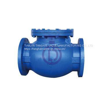 Swing Check Valve Outside Lever and Weight or Spring