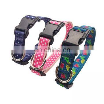 Custom dog training collar outdoor collar for leash