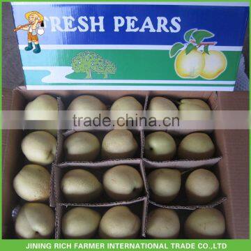 Fruit Pear Chinese Fresh Ya Pear