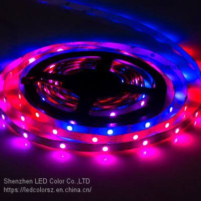 Smart Led Lights Strip LC8812 White PCB for Home Appliances photo-3