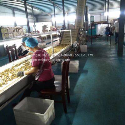 Walnut Kernel With Out Shell photo-4