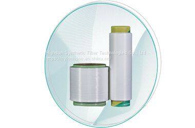 Functional Nylon 6 Yarn