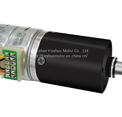 25mm Double Stacked Micro Reduction Motor 12V24V Planery Gearbox Stepper Motor With Large Torque photo-3