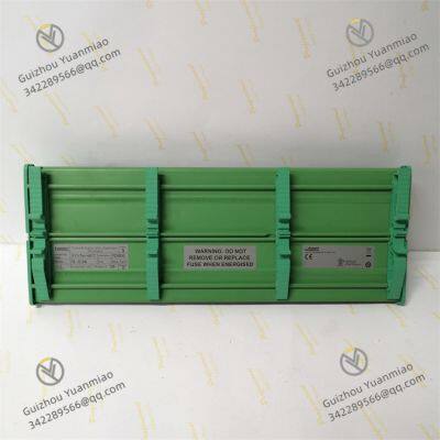 ROCKWELL T8800C PD8800 PCB130100 Trusted 40 Channel Analogue Input FTA photo-4