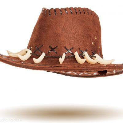 Cowboy Hat photo-2