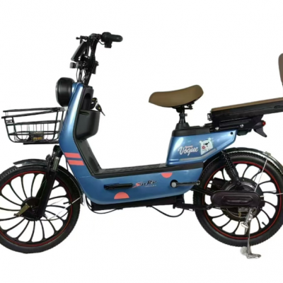 Electric Bicycle