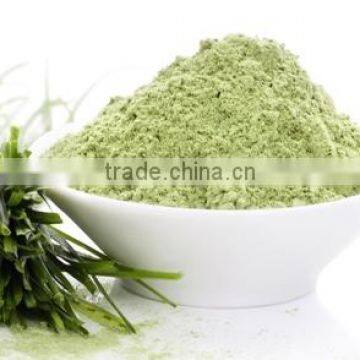 Superior Quality WheatGrass Powder For Healthy Life photo-3
