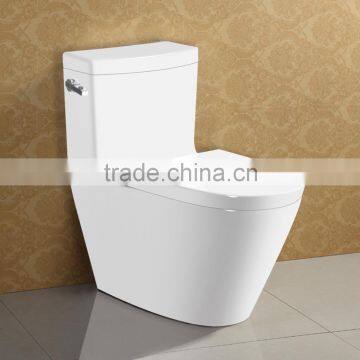European Style CE Siphonic S-Trap Water Closet AT530 photo-4