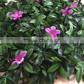 China Wholesale 50x50cm Artificial Fake Boxwood Artificial Carpet photo-6