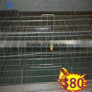 a type cheap price chicken cage for hen