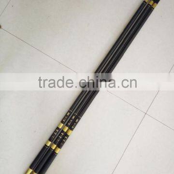 Carp Fishing Rod