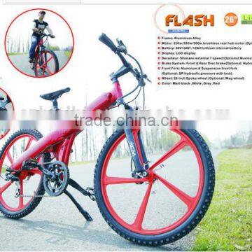 Mountain electric bike with motor mid drive made in China