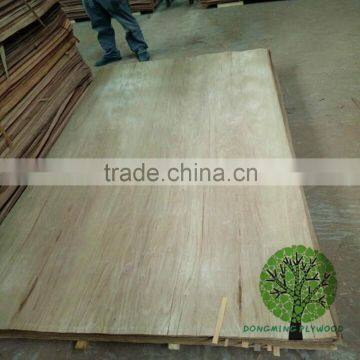 Exotic Natural Veneer Plywood Waterglue Veneer photo-4