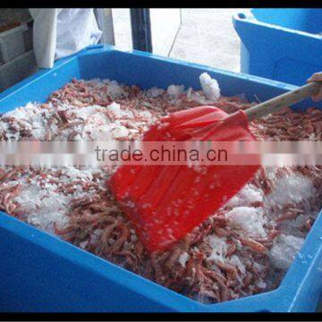 Rotomolding Seafood processing box 800L