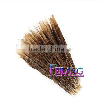 14-16INCHES NATURAL GOLDEN PHEASANT FEATHERS