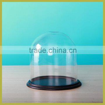 Glass dome display