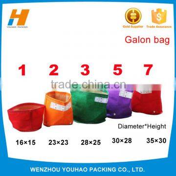 New product 2016 innovative product Invigorated Garden Felt Planting Bag,Felt Garden Pots for Indoor & Outdoor