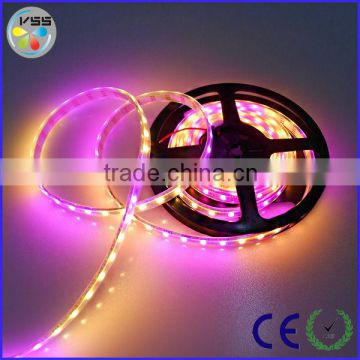 dc5v led strip manufacturer colorful strip